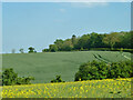 Farmland north of B4437