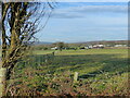 Field boundary from lay-by on the B4245 between Chepstow and Caldicot