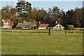 View towards Icklingham Rd