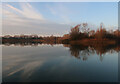 TL3369 : Elney Lake, Fen Drayton Lakes RSPB by Hugh Venables