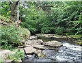 Rocky bed of the River Derwent