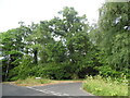 Chilbrook Road at the junction of Ockham Lane