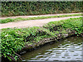 Towpath instability by Acton Trussell, Staffordshire