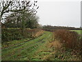 Track next to Claxhill Farm