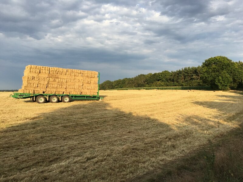 Harvest Time Danny Field Acres Mr Ignavy Geograph Britain And Ireland