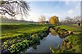 Pymmes Brook  in Oakhill Park