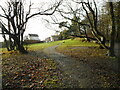 Path to Morven Road