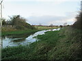 Driffield  Canal  with  vegetation  encroaching