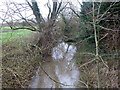 Little Ouse River, looking downstream