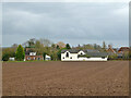 Houses on A1066, South Lopham