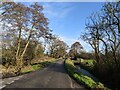 North Chine Drove, looking east