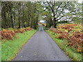 NN1928 : Glen Orchy - Road (B8074) near to Garbh Eilean by Peter Wood
