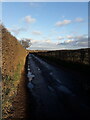 December afternoon along Upton Lane, near the fishery pools