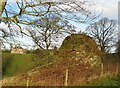 Dovecote at Grahamslaw