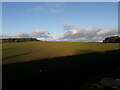 Towards Aston Hill and Aston Coppice