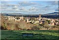 SO5074 : Ludlow viewed from the Whitcliffe Common Nature Reserve by Mat Fascione