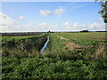 Gosdale Drain, Pointon Fen