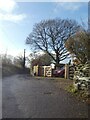 Tree beside Appley Cross