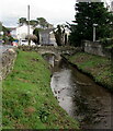 Grassy stream banks below Main Road, Coychurch