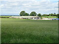 Grassland towards Burtree House Farm