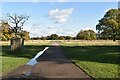 TQ1470 : Cobbler's Walk, Bushy Park by N Chadwick
