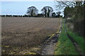 Field edge track near Field Farm