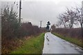 NT6223 : Road, Ancrum West Mains by Richard Webb