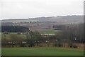 Teviot flood plain