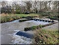 Weir on the River Cole