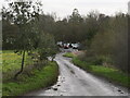 Looking towards Worstead recycling centre