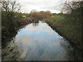TA0156 : Driffield  Trout  Stream  from  Sunderlandwick  Bridge by Martin Dawes
