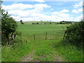 Field entrance off Thirsk Bank 