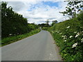 National Cycle Route 65, Rose Hill