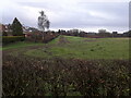 Houses and back gardens on Stafford Avenue