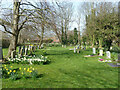 Graveyard, Roydon