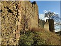 SO5074 : Outer west walls of Ludlow Castle by Mat Fascione