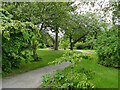 Path in Aberdeen Botanic Gardens