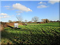 Grass field at Mousehole Corner