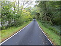 NM9407 : A section of tree-lined road (B840) beside Loch Awe by Peter Wood