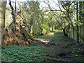 Old track to Hill Farm (now Hadham Grange)