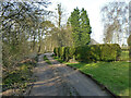 Private track, public footpath, Much Hadham