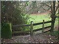 The path down Hale Combe