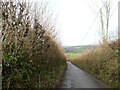 Road beside Dipford Wood and its valley