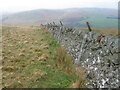 NS8205 : Wall on Glegenny Muir towards Glenairlie by Chris Wimbush