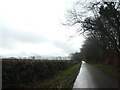 Road on Bampton Down