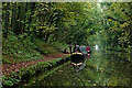 SJ8415 : Canal in Rye Hill Cutting, Staffordshire by Roger  Kidd