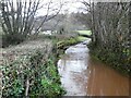 Doniford Stream overspills the lane near Leigh Cottage