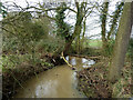 TL7604 : Tributary of Sandon Brook by Robin Webster