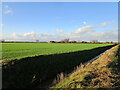 Drain and Fen Farm