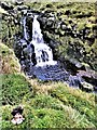 NS2459 : Gogo Water - Largs, North Ayrshire by Raibeart MacAoidh